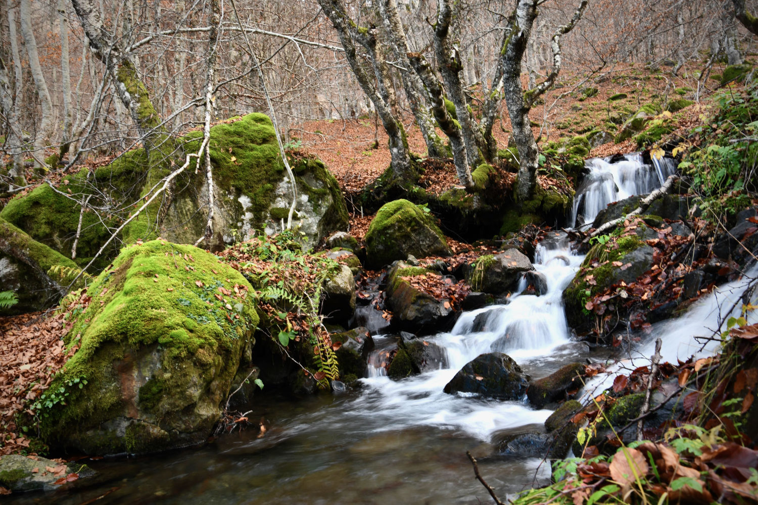 Bello otoño en la Vall d'Aran.