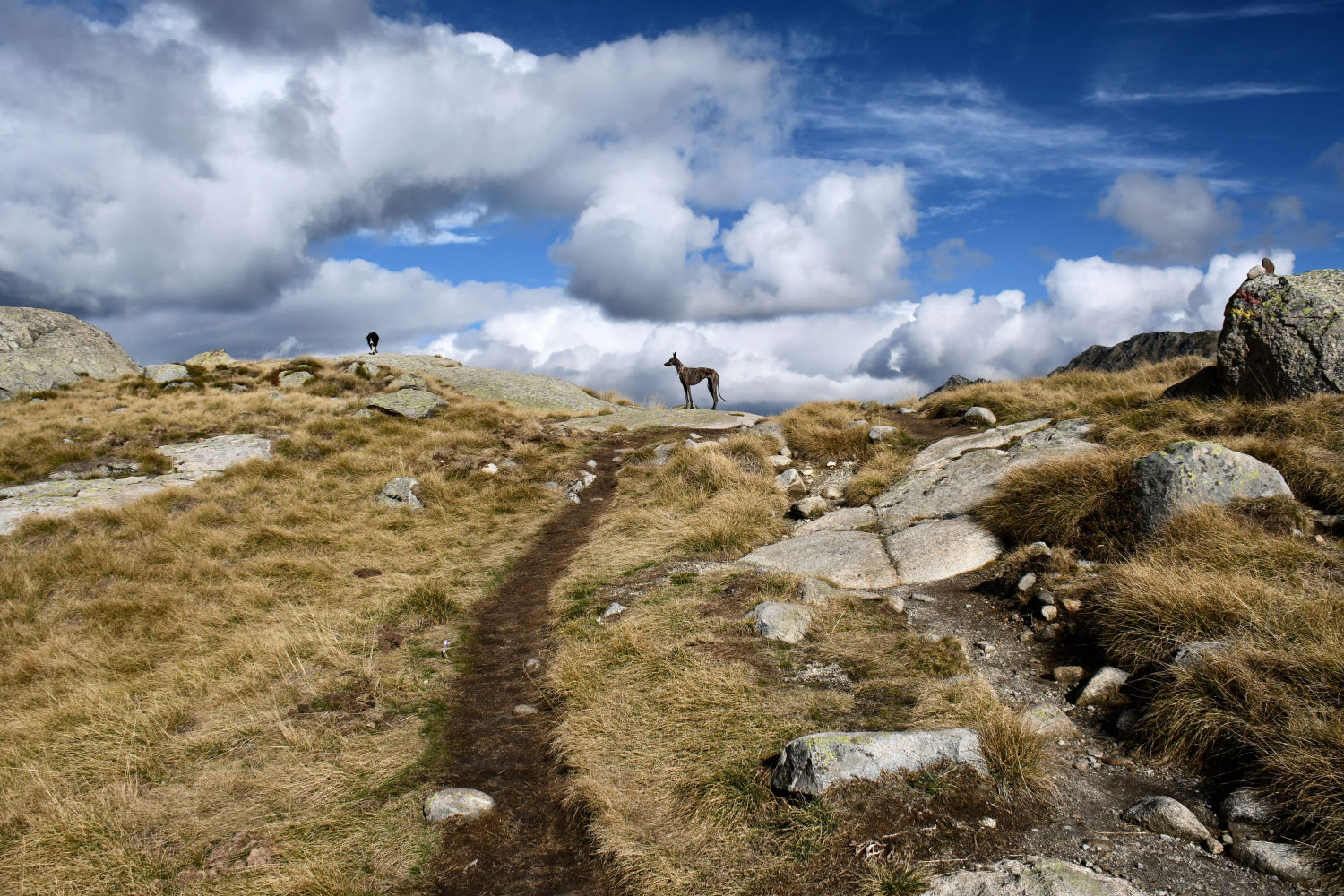Tierra y cielo en la Vall d'Aran.