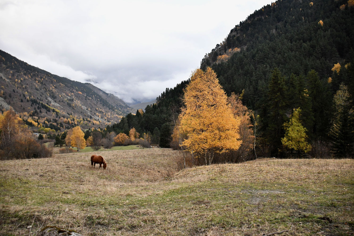 El tranquilo otoño de la Vall d'Aran.