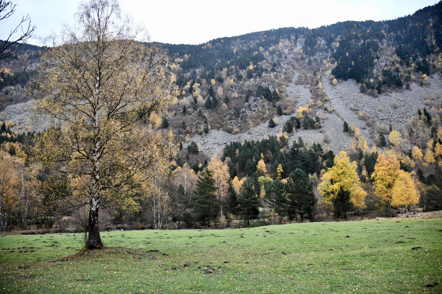 Contraste de colores en la Vall d'Aran.
