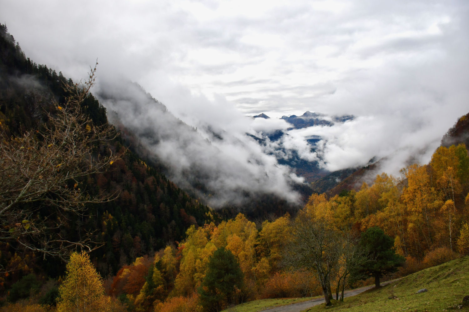 Paisaje de nieblas en la Vall d'Aran.