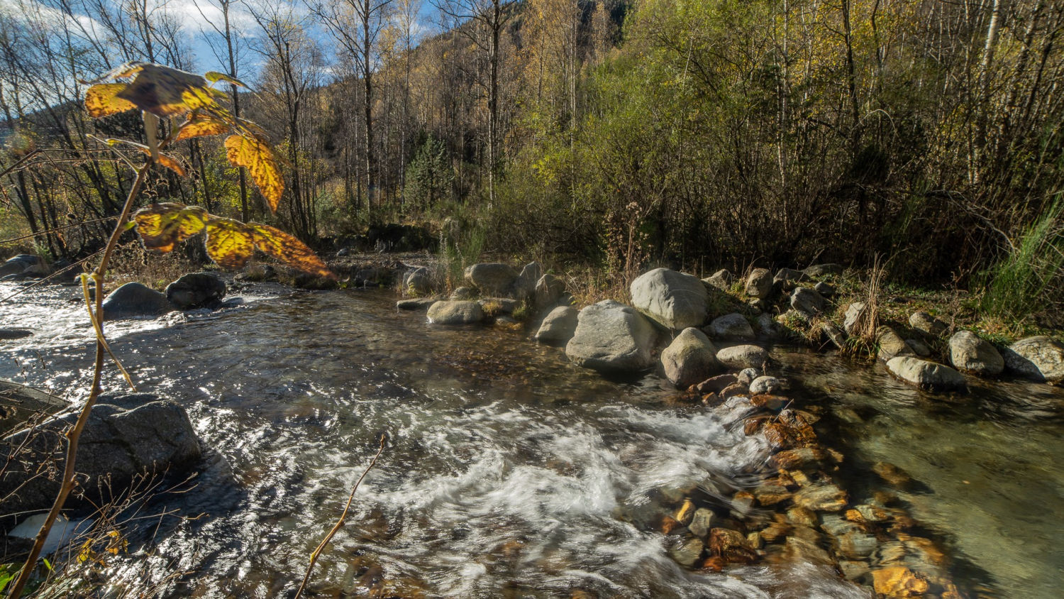 Otoño junto al río en Setcases.