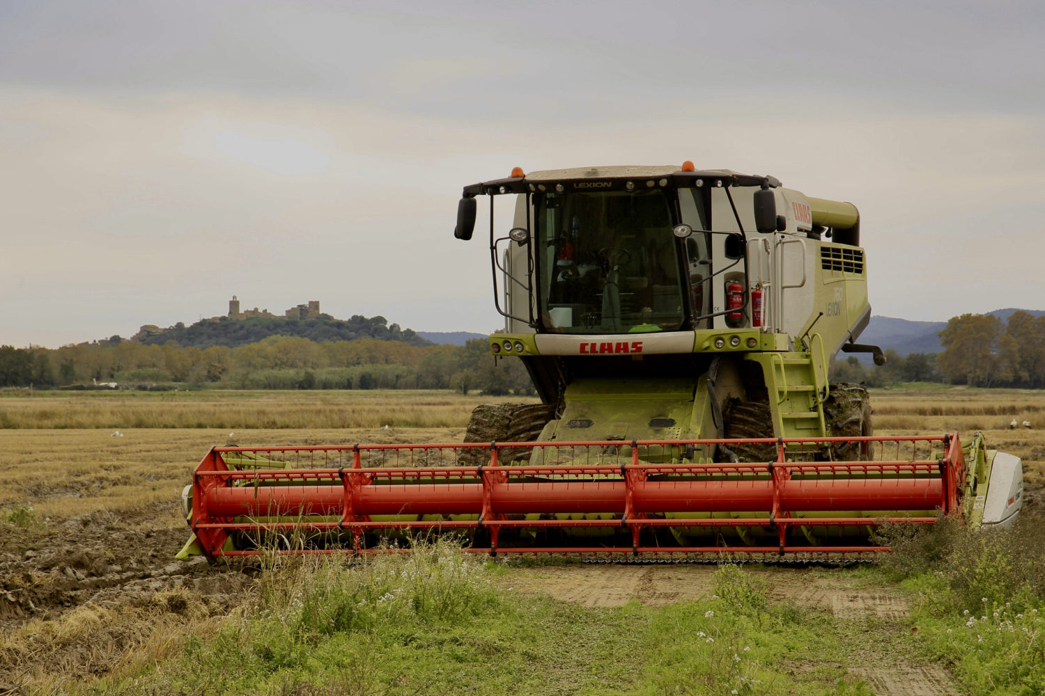 Cosechadora en el Estany de Pals.