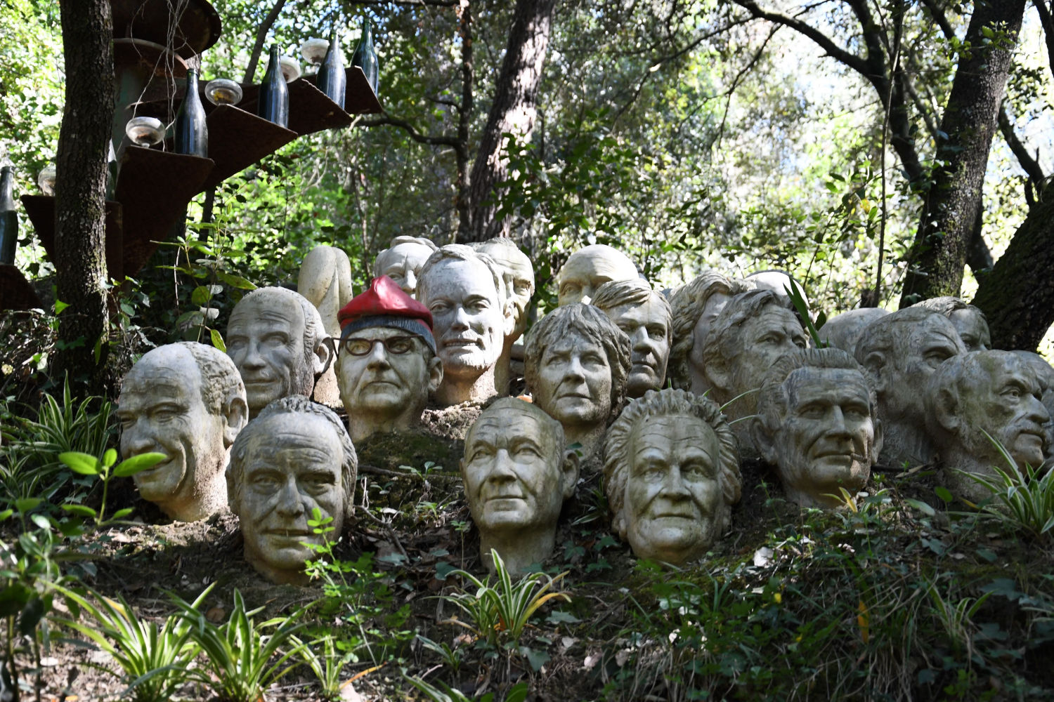 Bustos en el Bosc de Can Ginebreda.