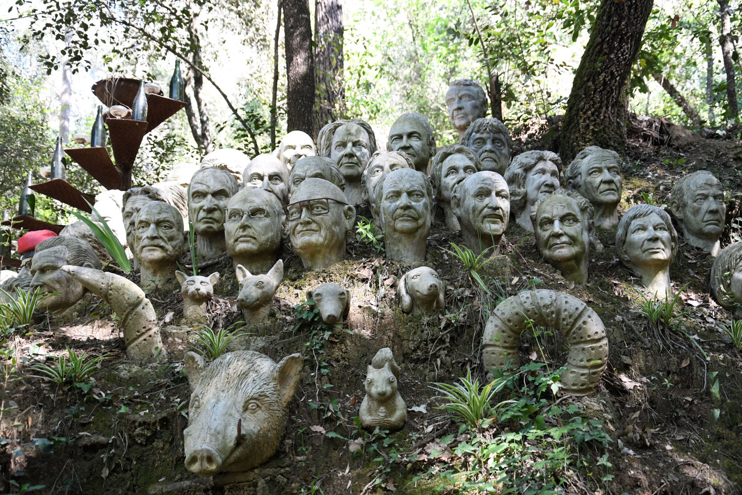 Las miradas en el Bosc de Can Ginebreda.