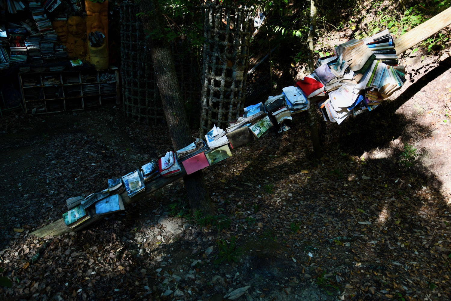 Libros en el Bosc de Can Ginebreda.