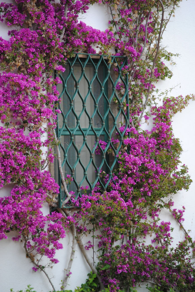 Ventana floreada.