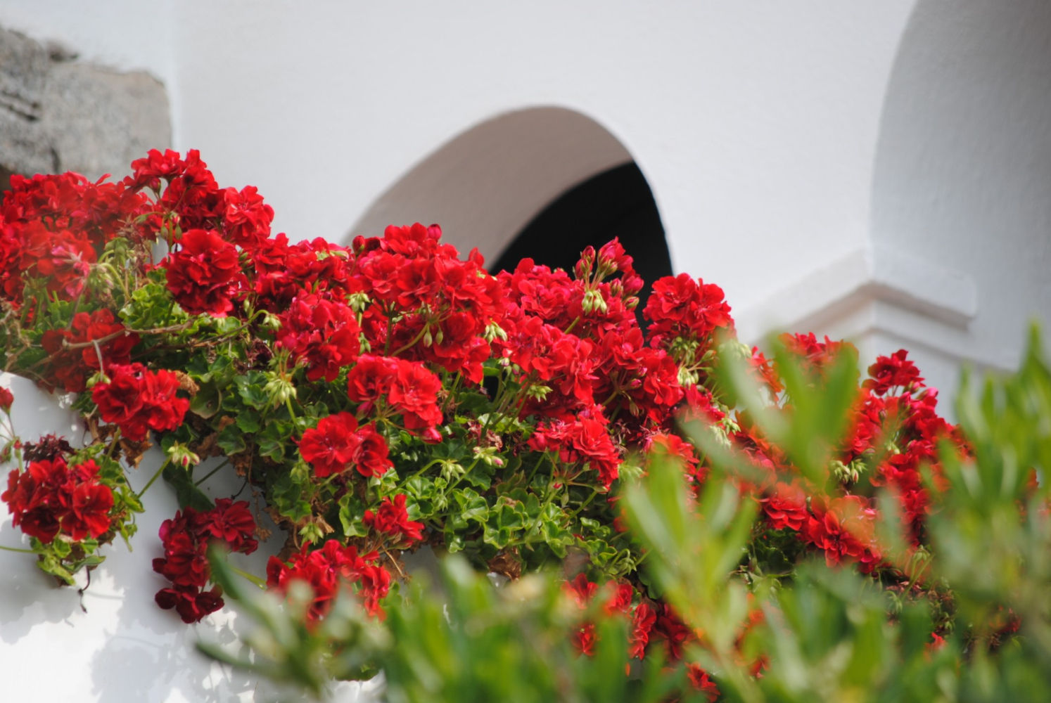 Flores en el balcón.