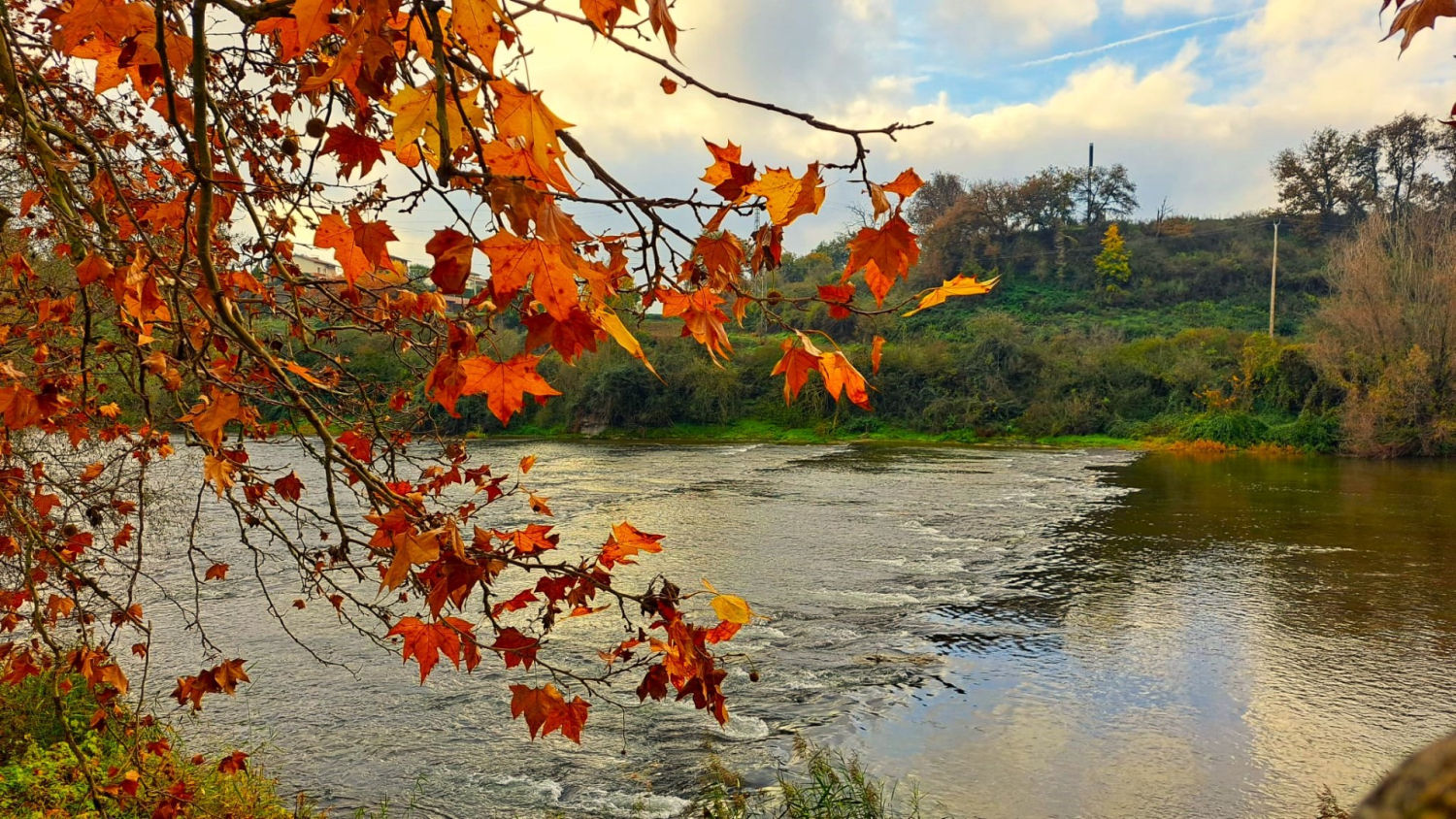 Paseo junto al río siguiendo el Vora Ter en Manlleu.