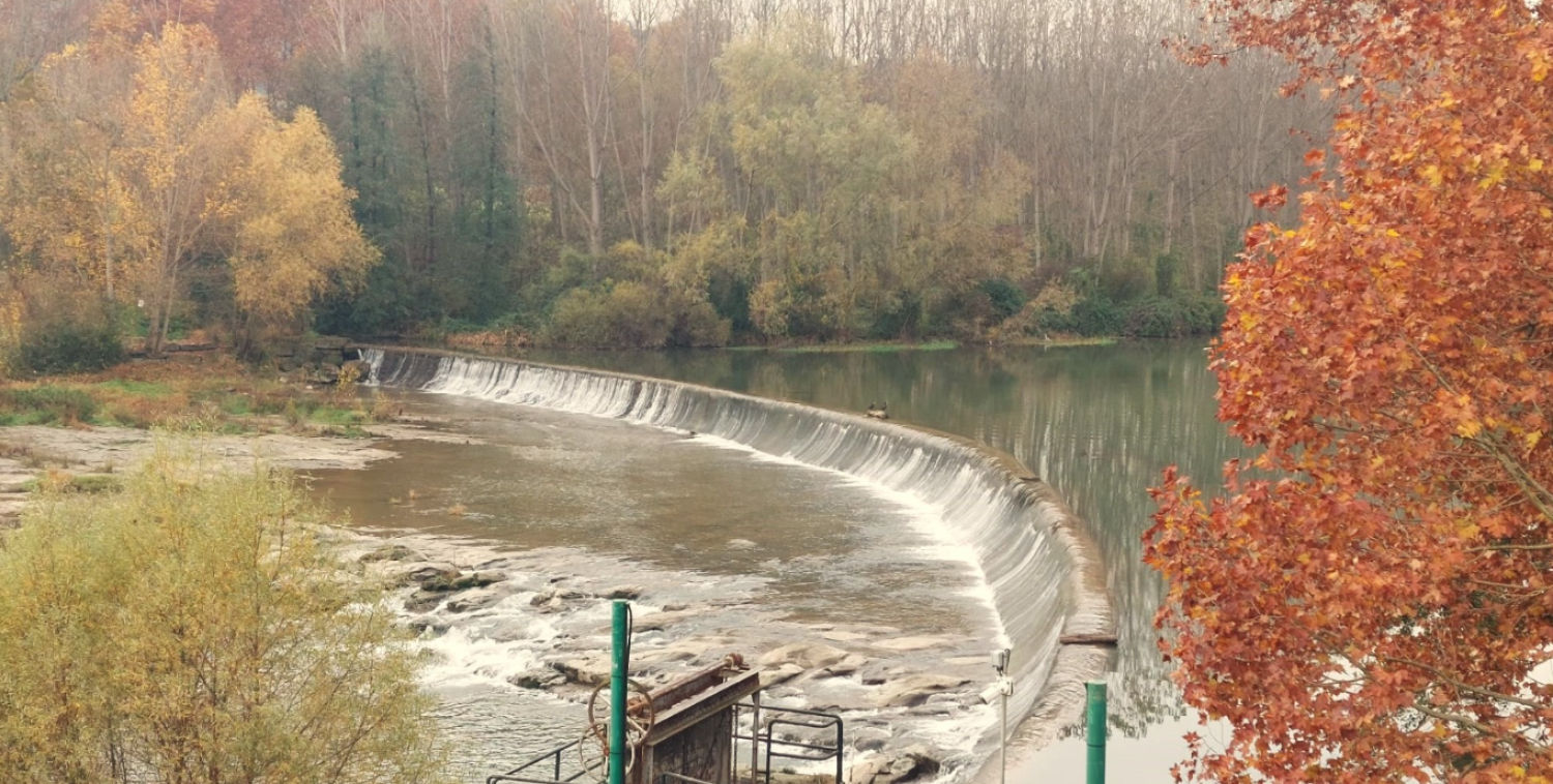 El Ter es protagonista de la ruta.