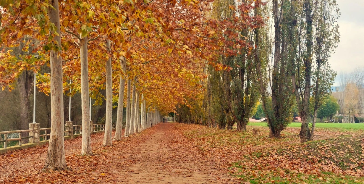 Paseo otoñal junto al río Ter.