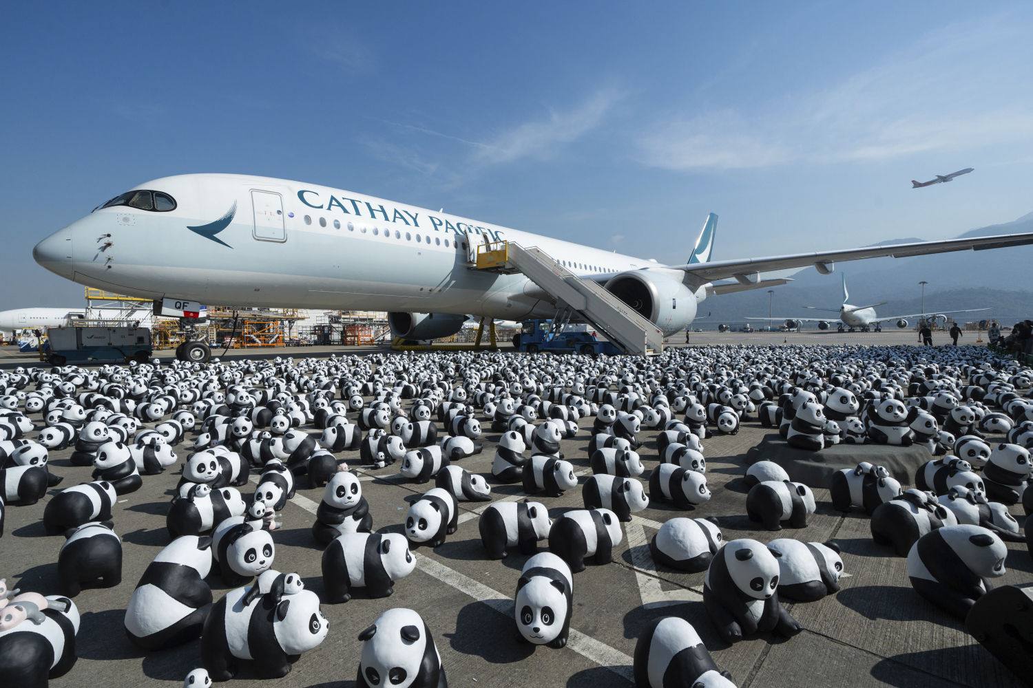 Parte de las 2.500 esculturas de pandas se exhiben en el Aeropuerto Internacional de Hong Kong durante una ceremonia de bienvenida a la exposición con temática de pandas