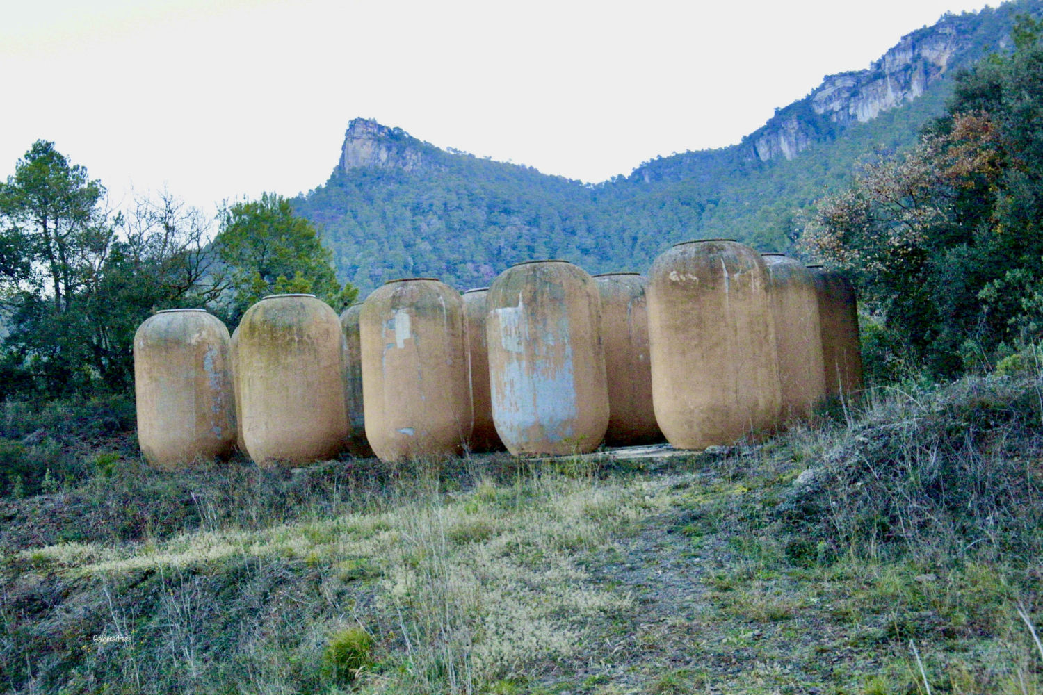 La cultura del vino está presenta en el paisaje de Falset.
