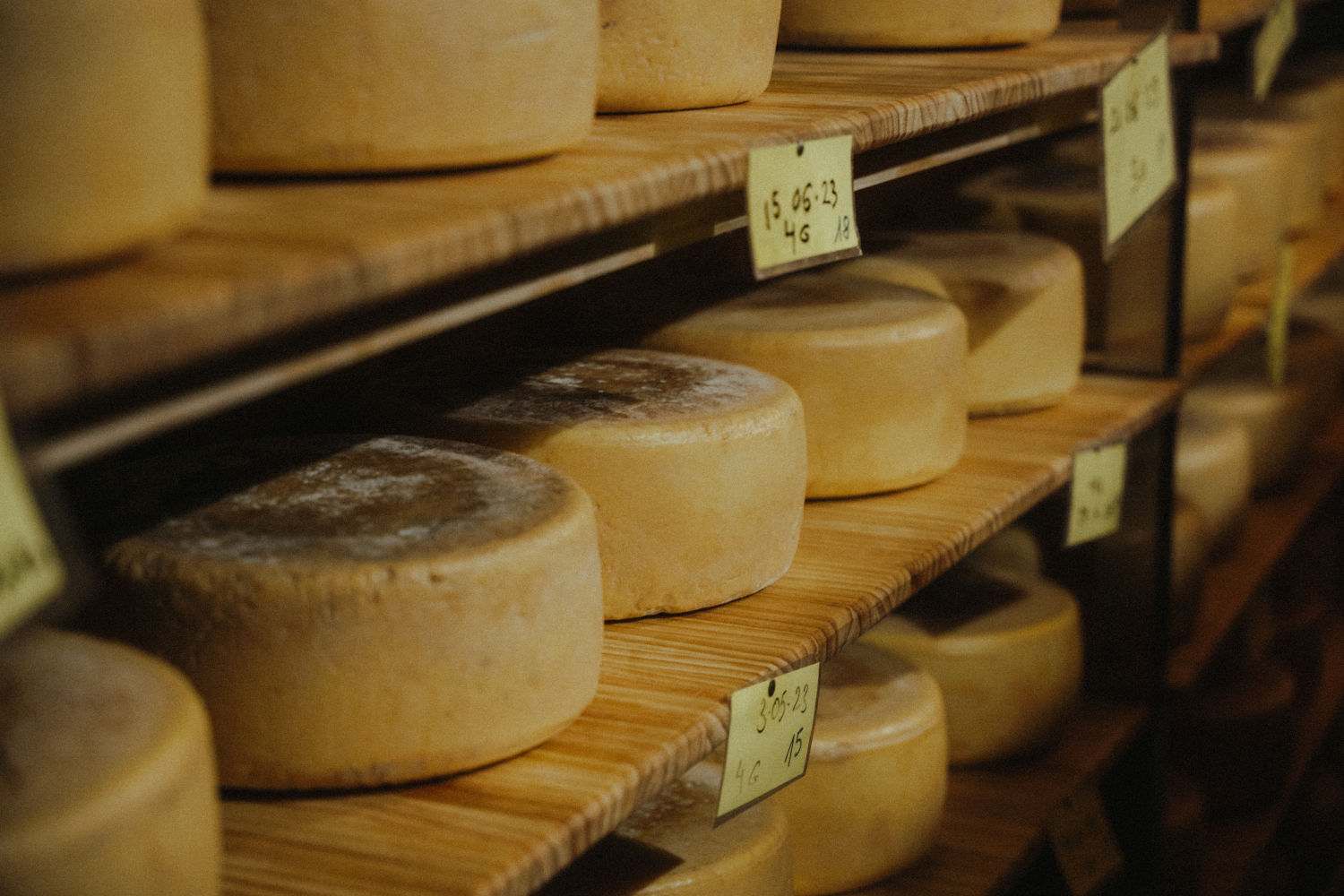 La quesería artesana Finca Uga se alza con cuatro galardones de plata y dos de bronce en los World Cheese Awards 2024, una delicia en la mesa