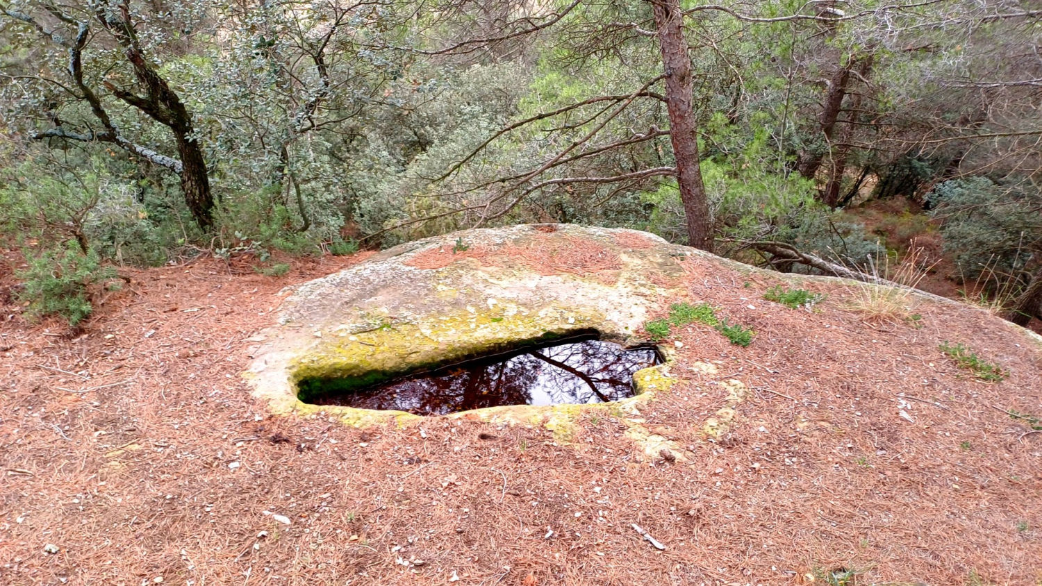 Tumba de los alrededores del Castellot de Viver.