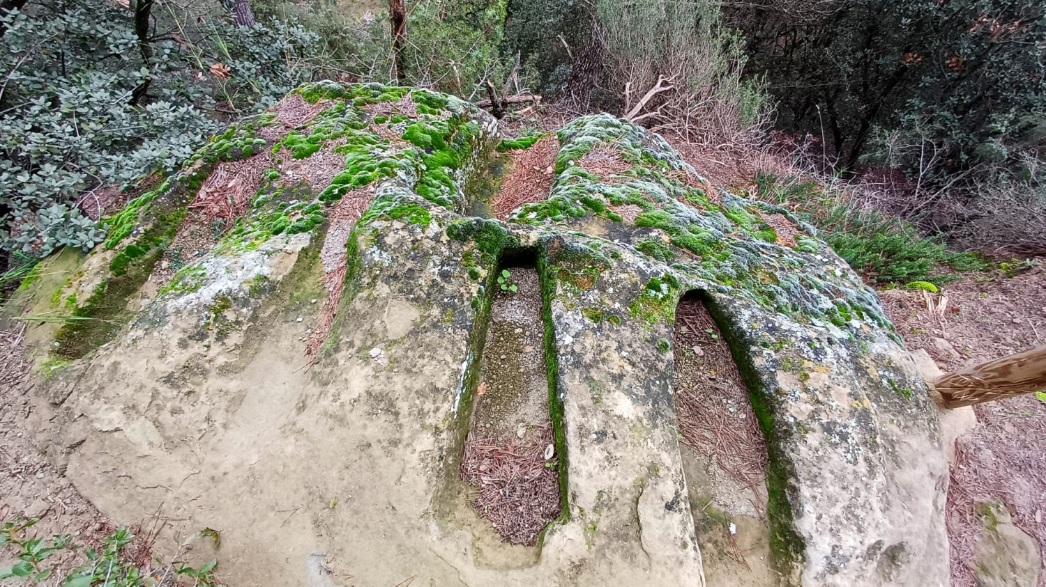 Explorando la necrópolis del Castellot de Viver.