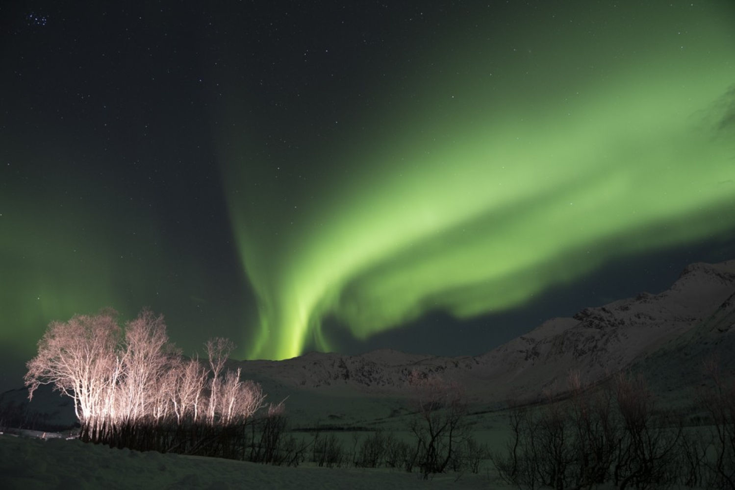 El espectáculo de las auroras de Tromsø.