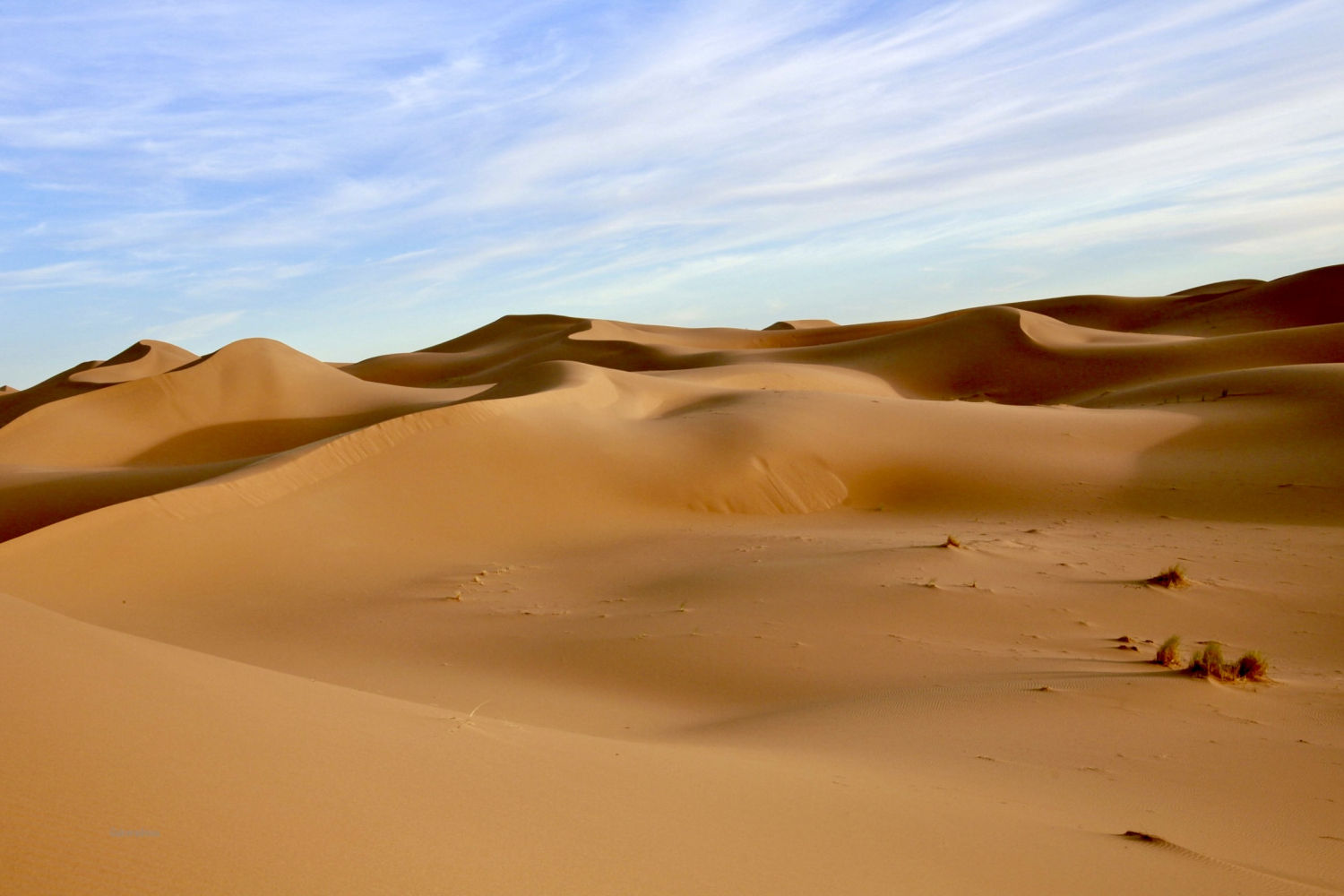 Desierto de Erg Chebbi.