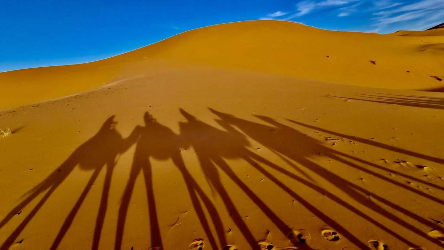 Sombras en la arena de Erg Chebbi.