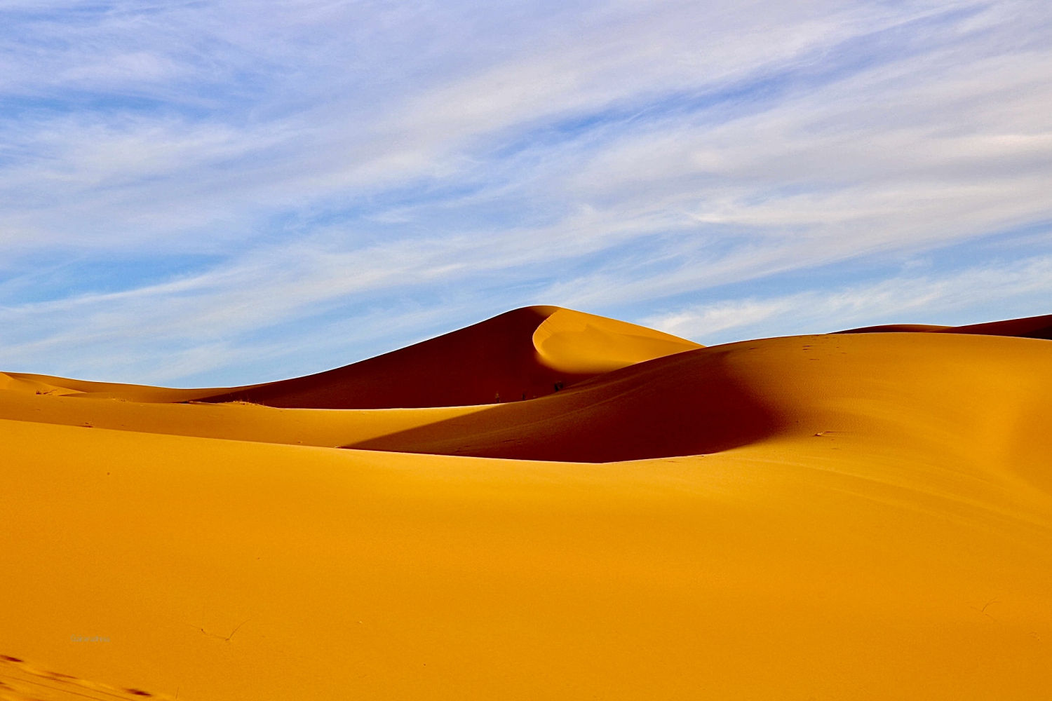 Mar de dunas de Erg Chebbi.