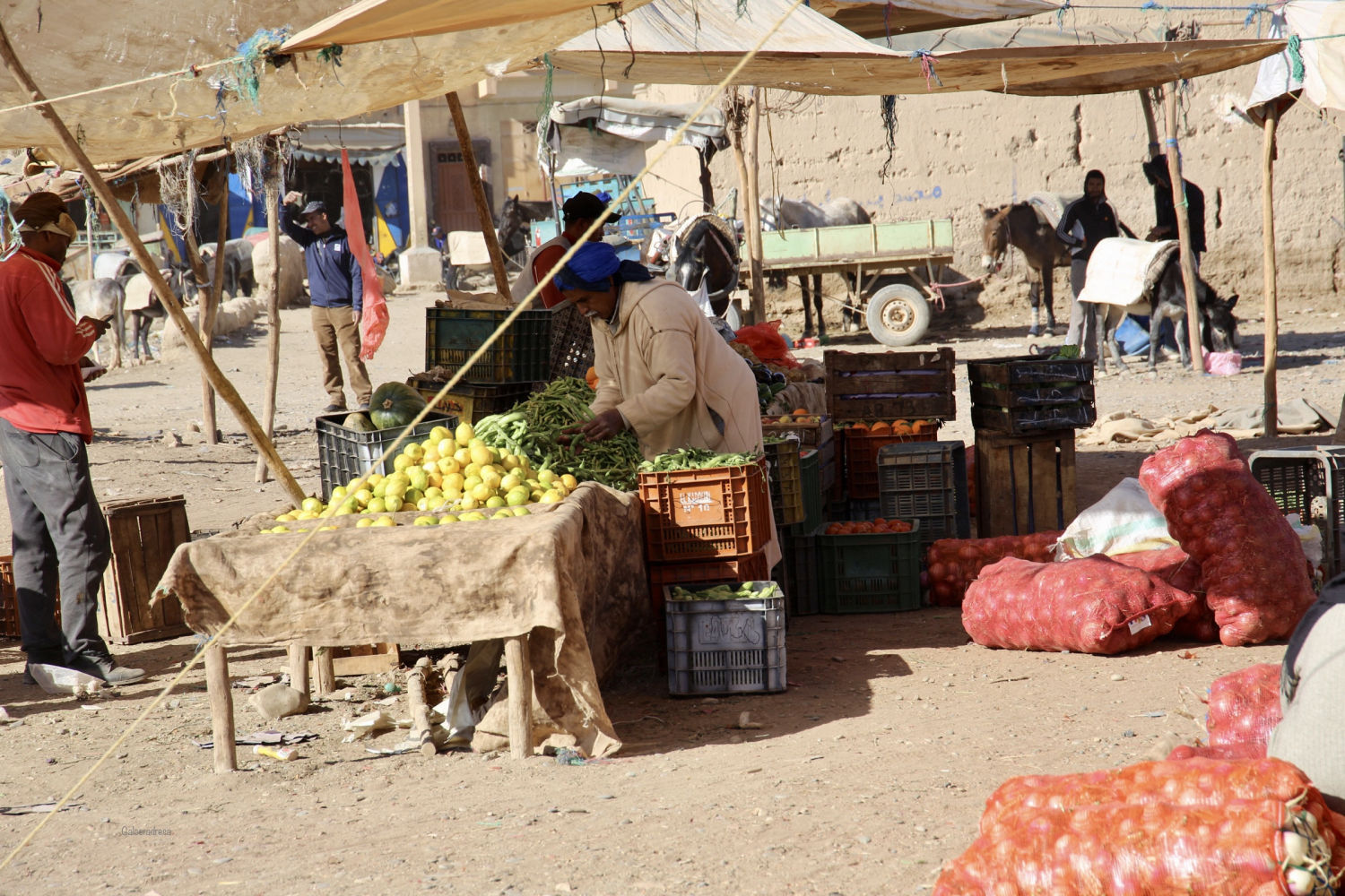 Parada del mercado de Rissani.