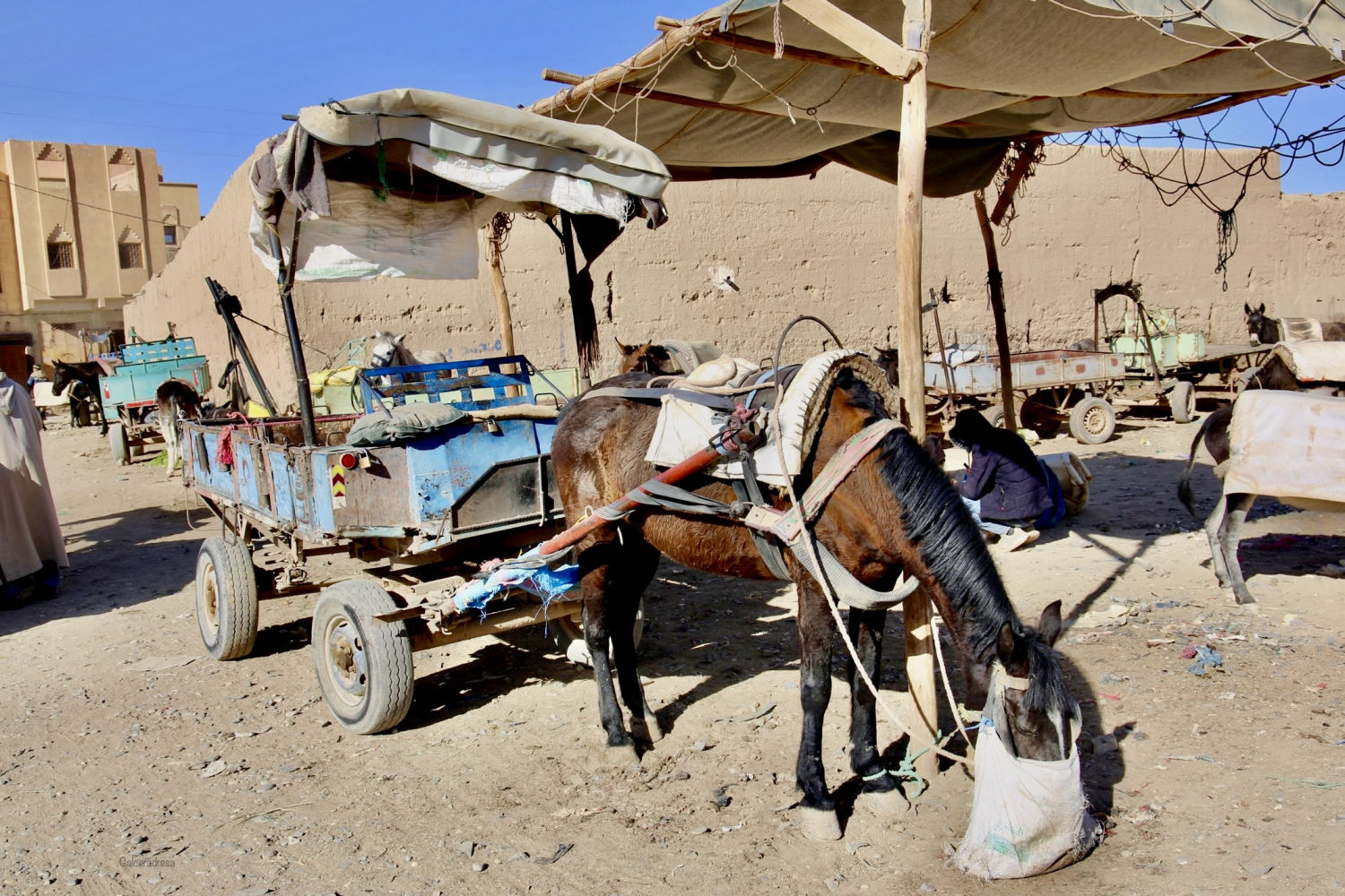Carro con burro en Rissani.