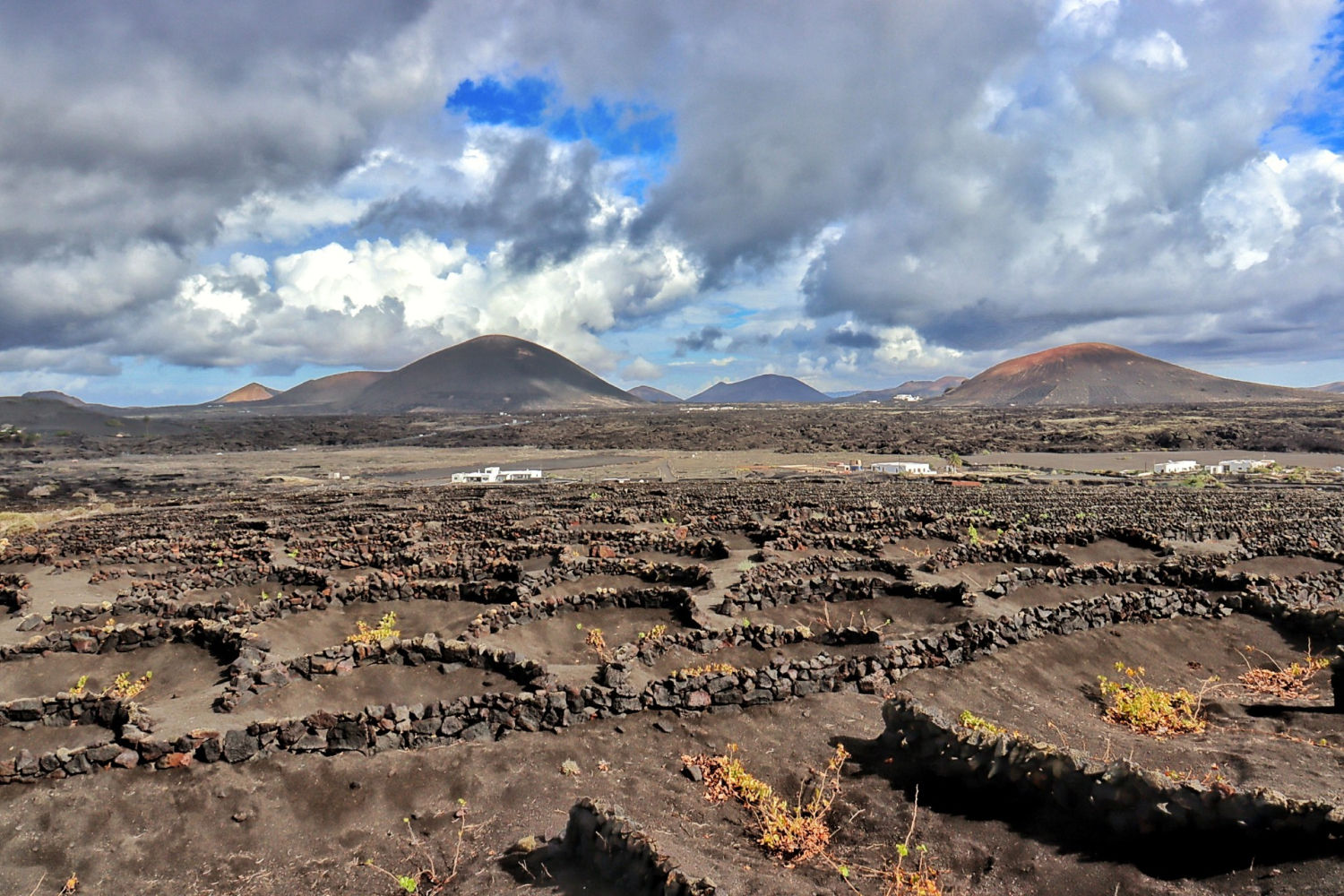 Contemplando La Geria.