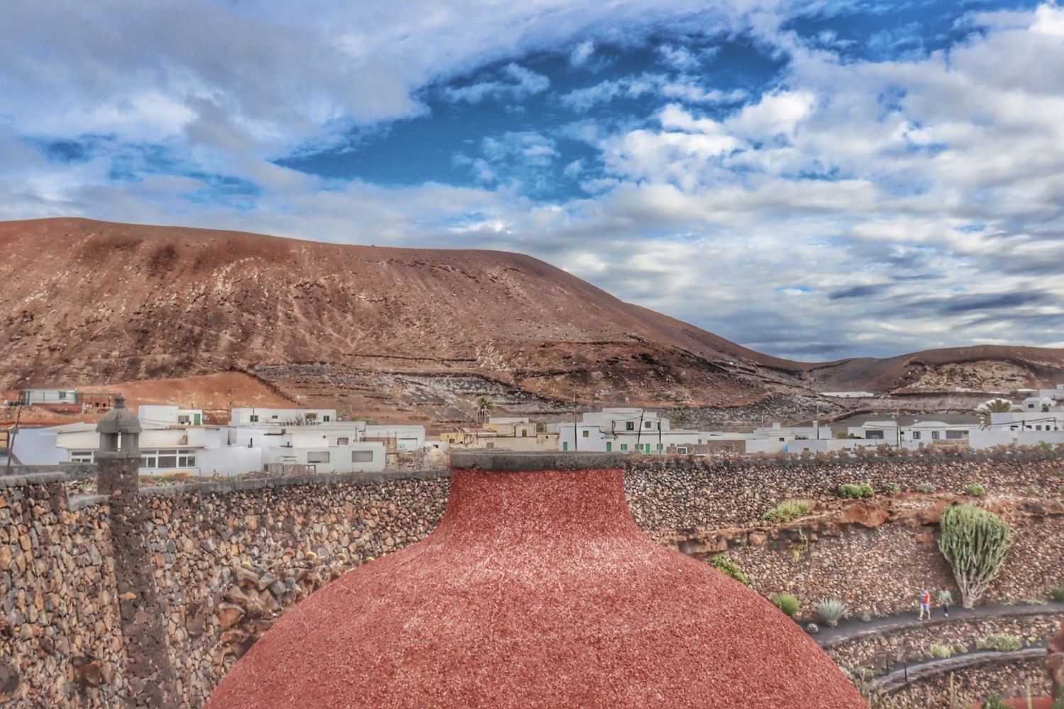 Paisaje del jardín de cactus.