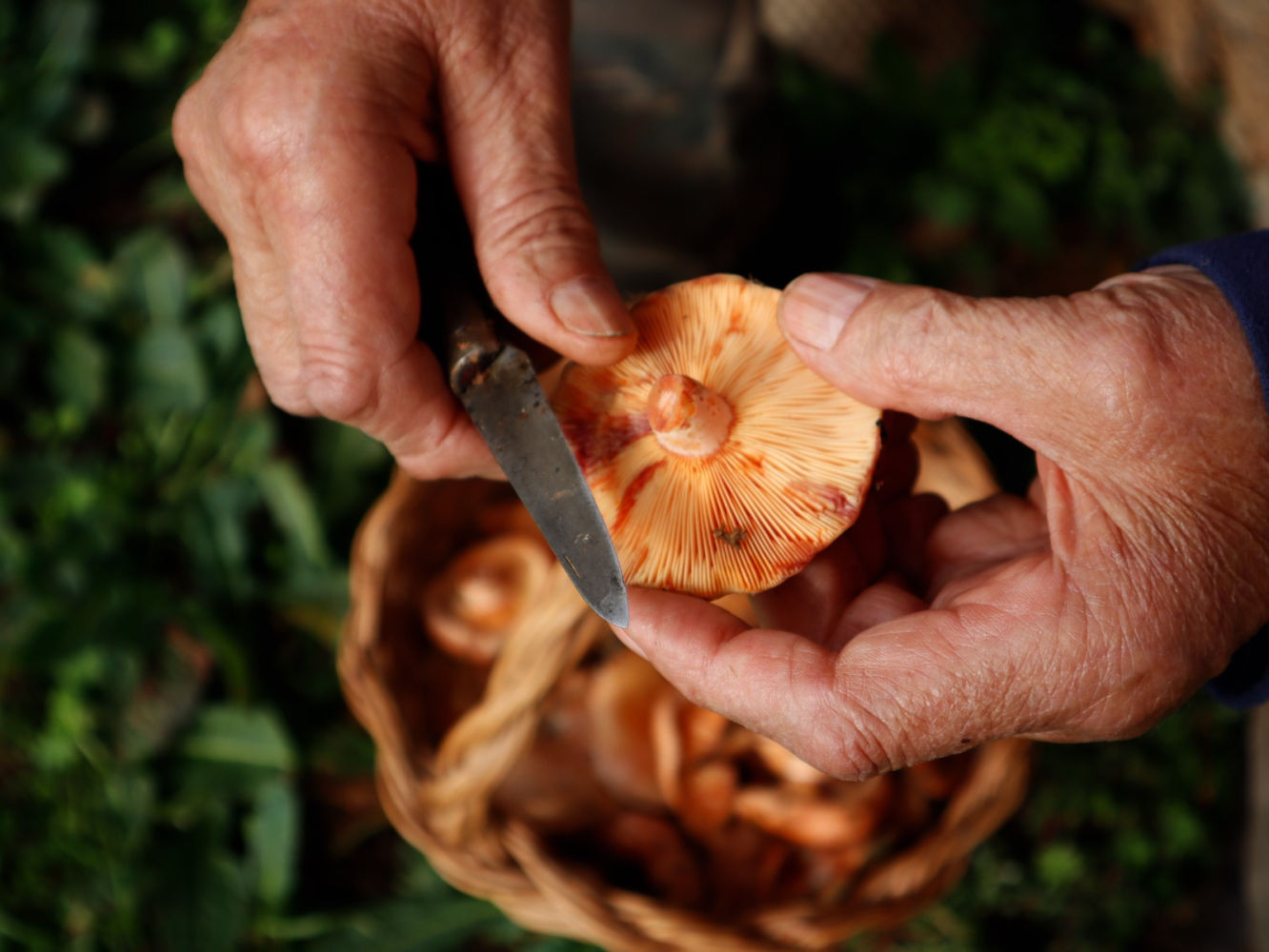 Finalista 'Las manos de papá' (Herreros de Jamuz, León)