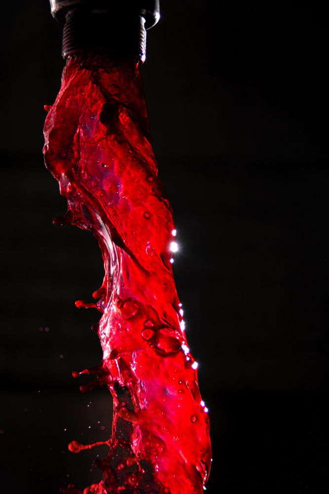 Cultura liquida (Bodegas Ochoa, en Olite, Navarra)