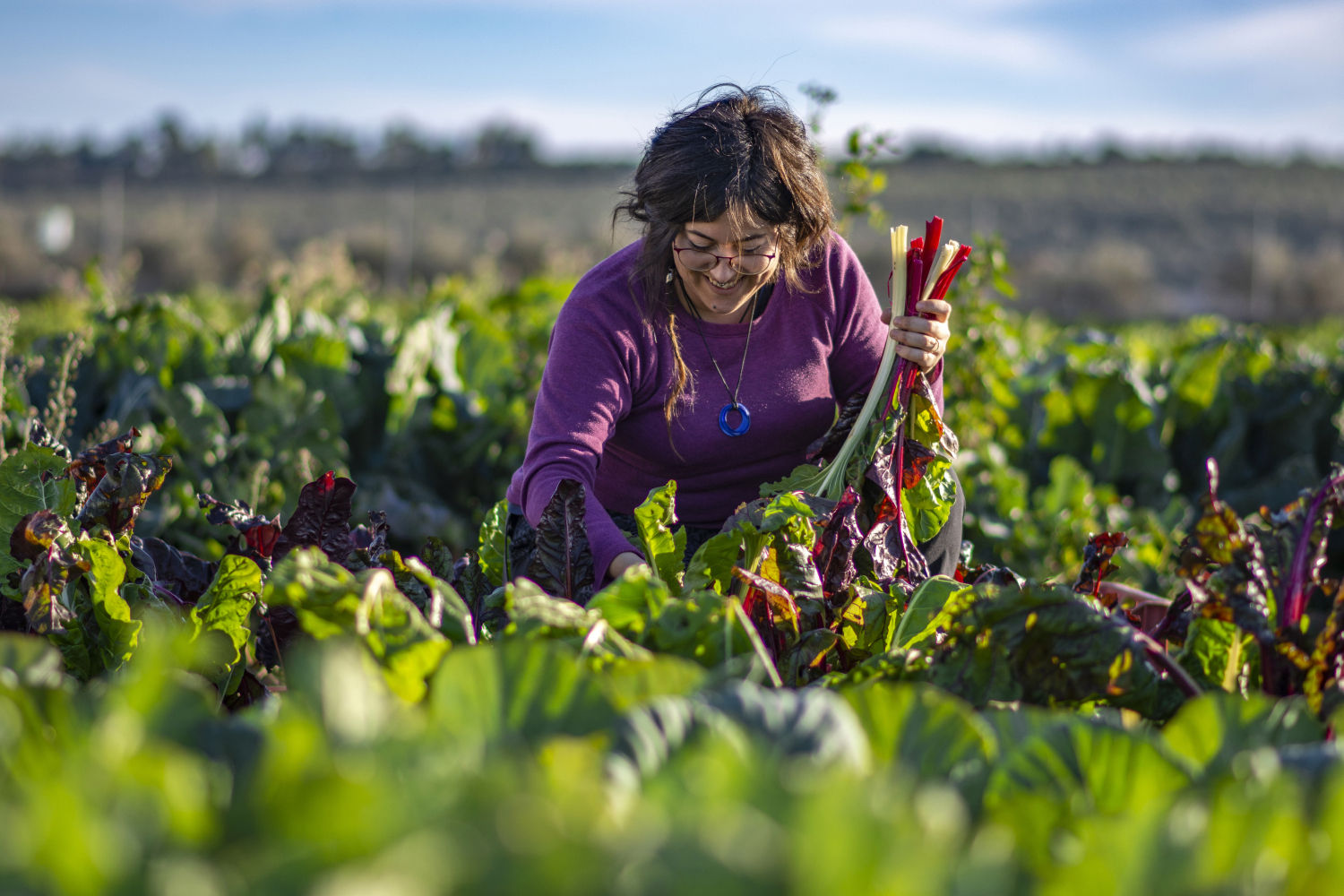 Premio FADEMUR 'La Acequia' (Córdoba)