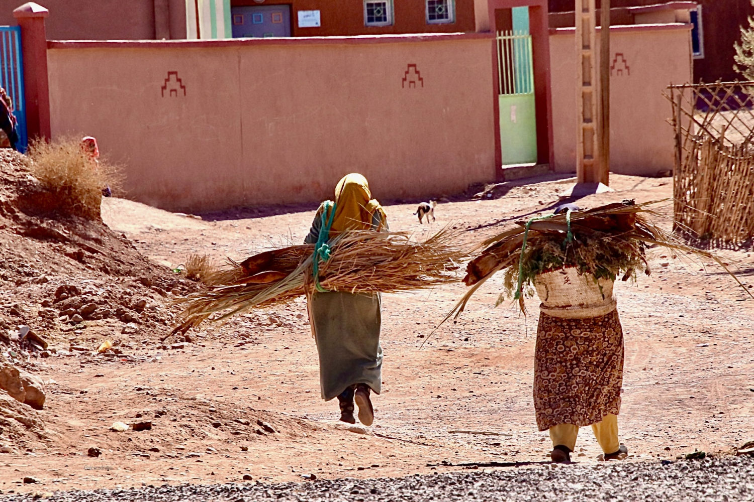 Mujeres transportando leña al ksar Ait Ben Hadu.