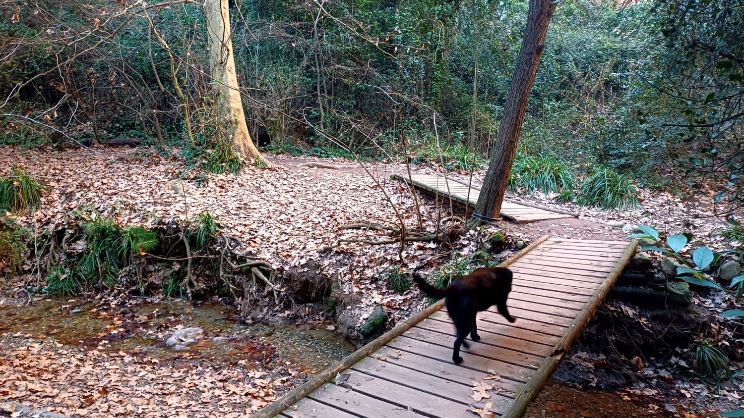 Ruta de las pasarelas del Torrent de Colobrers.