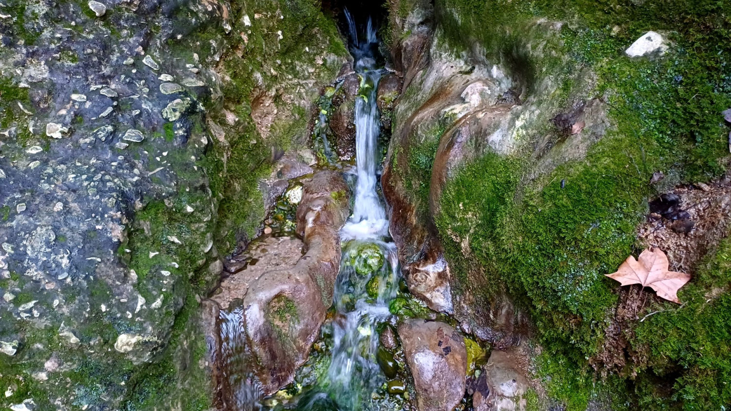 El agua fluye en el Torrent de Colobrers.