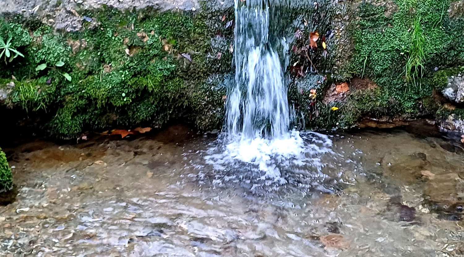 El agua del Torrent de Colobrers.