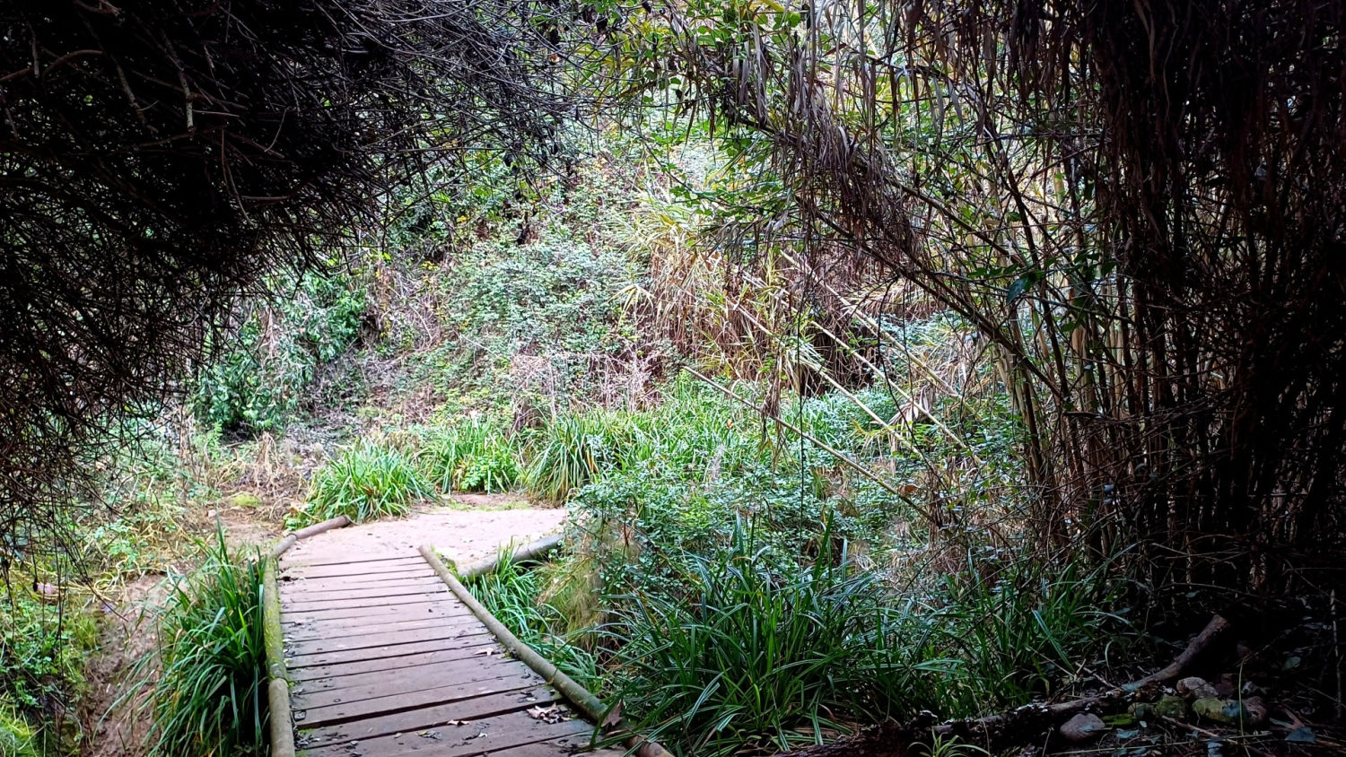 Pasarela del Torrent de Colobrers.