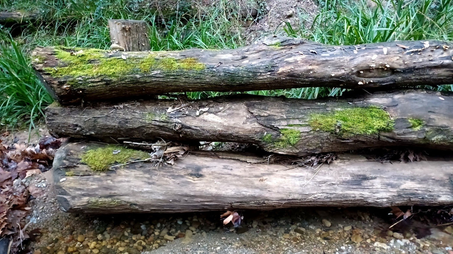 Barrera en el Torrent de Colobrers.