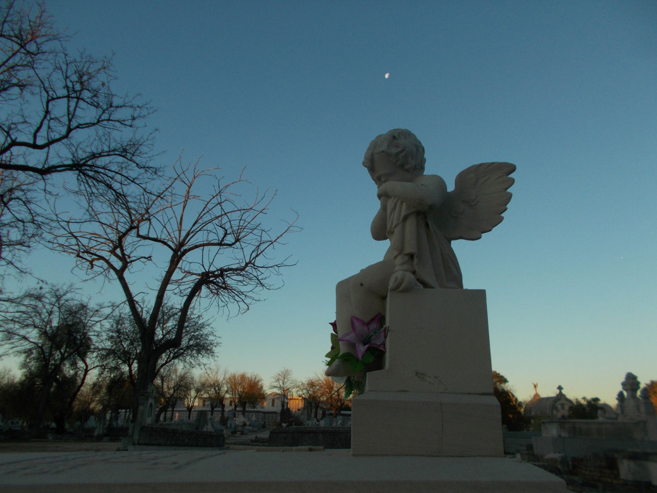 La luna corona el ángel.