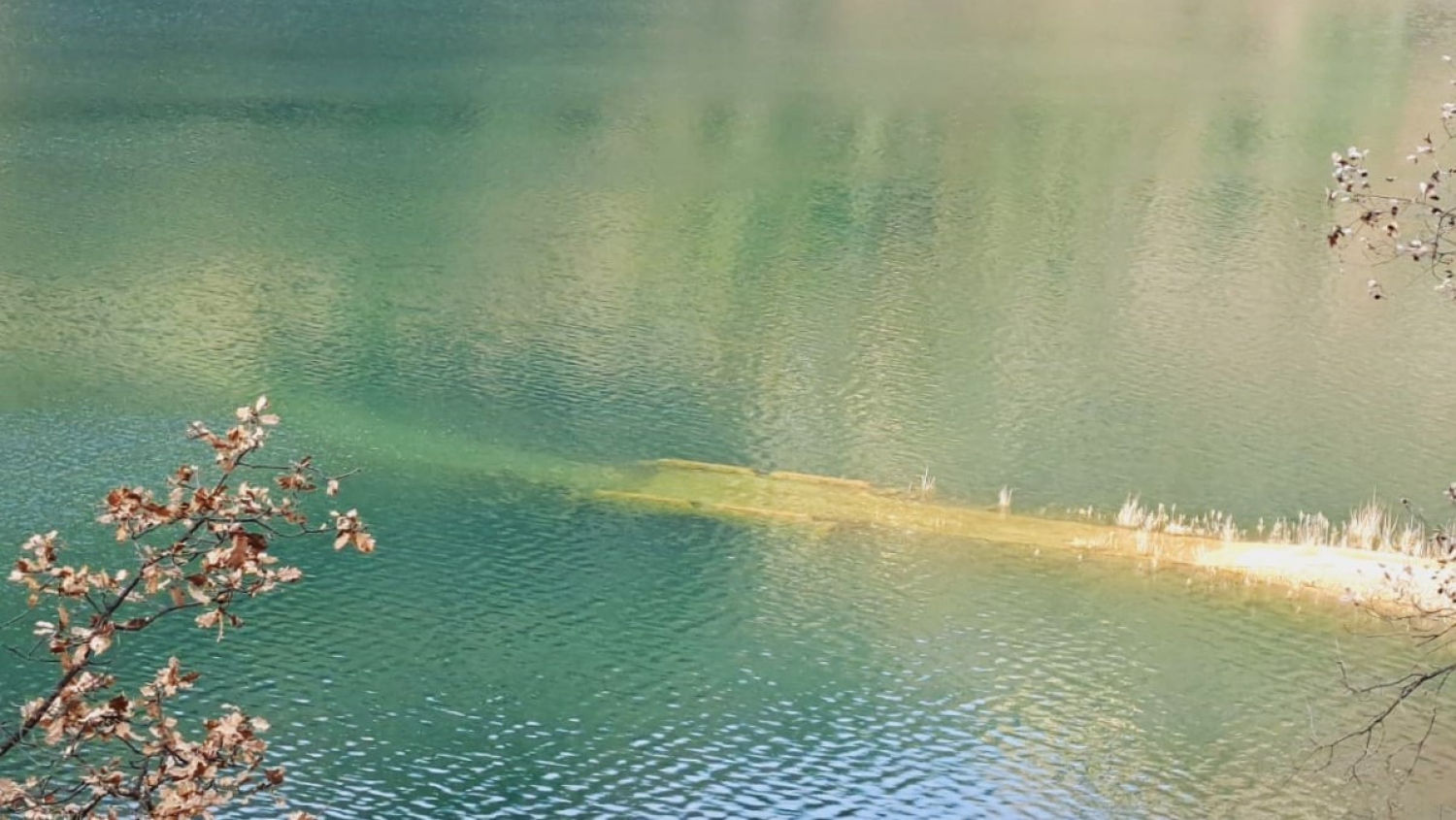 El puente de la carretera vieja de la Nou del Berguedà vuelve a estar sumergido en La Baells.