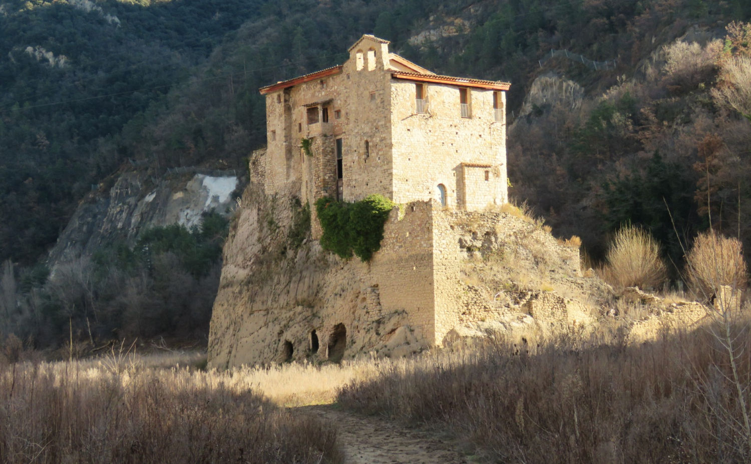 Sant Salvador de la Vedella.