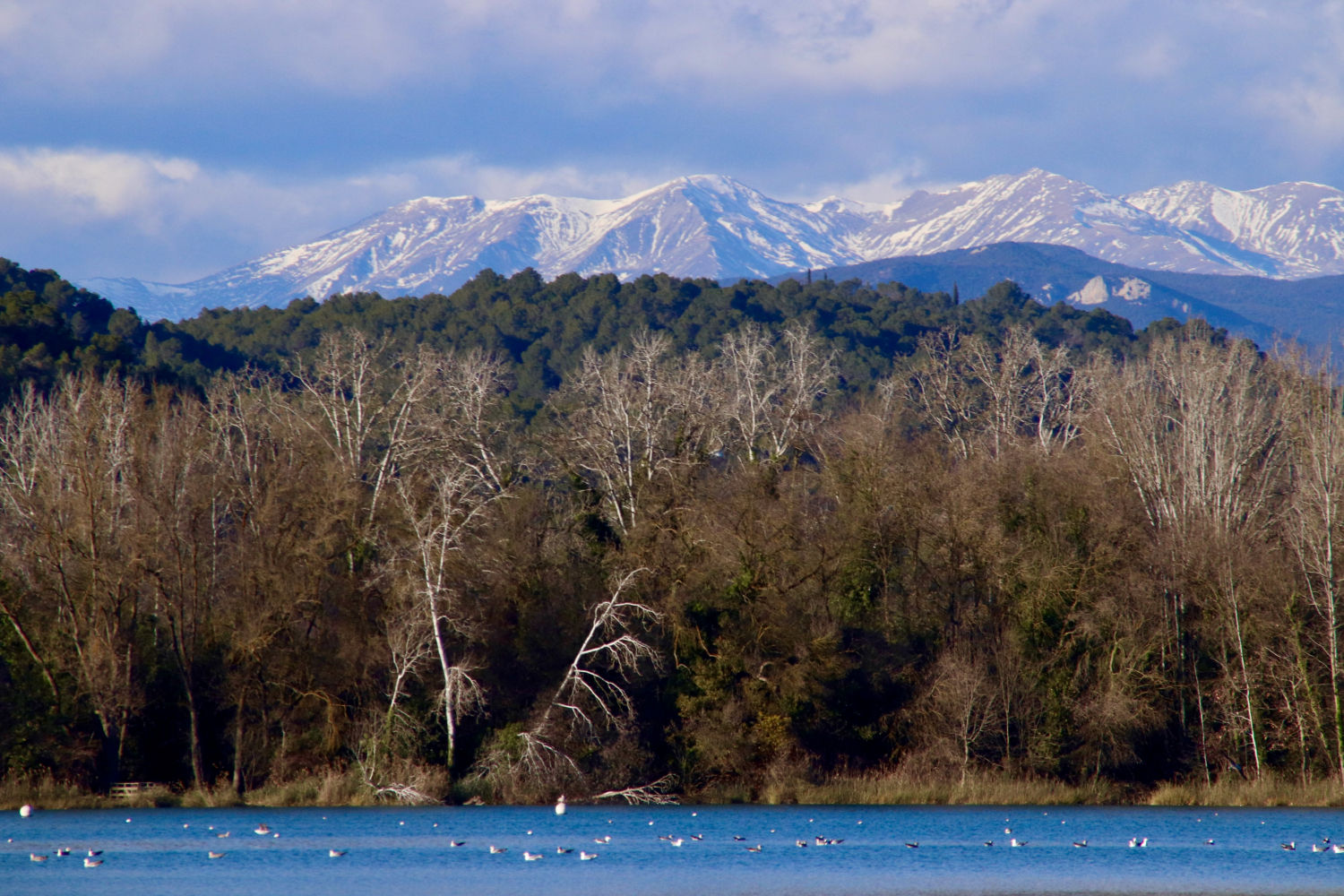 Invierno en el lago de Banyoles.