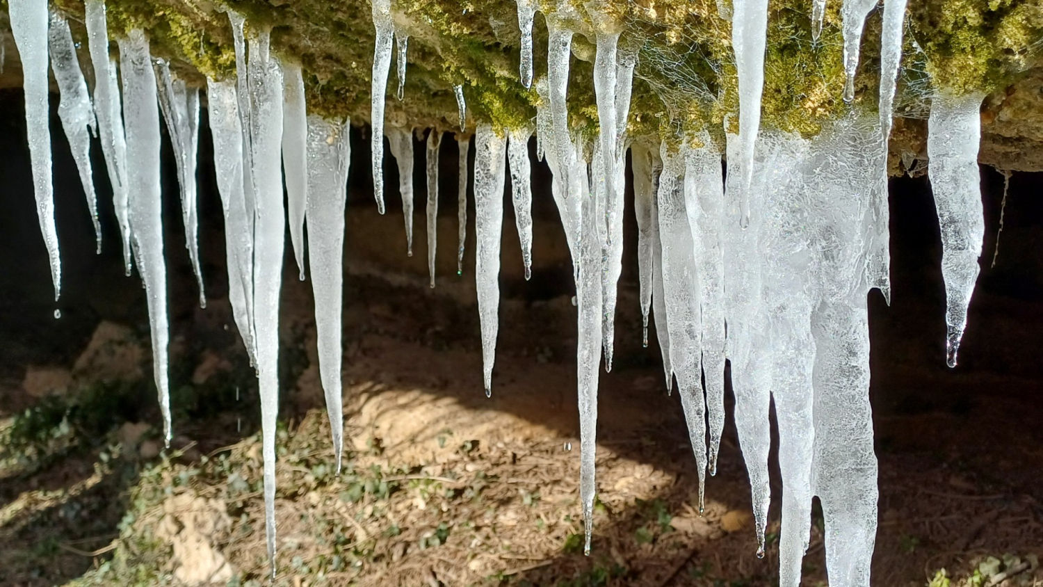 Carámbanos de hielo en la riera de Clarà.