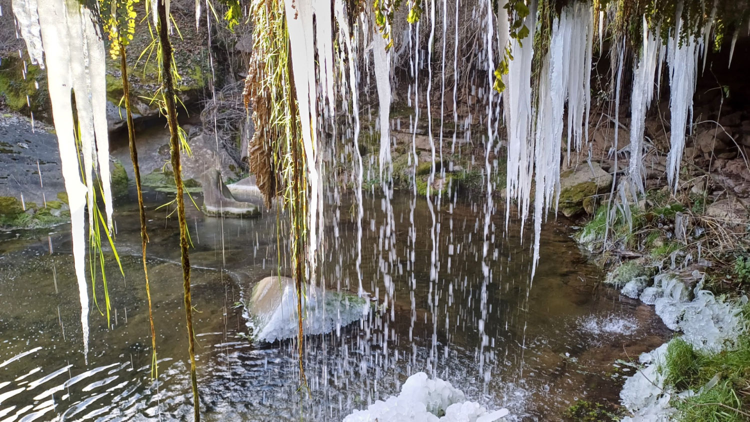 Invierno en la riera de Clarà.