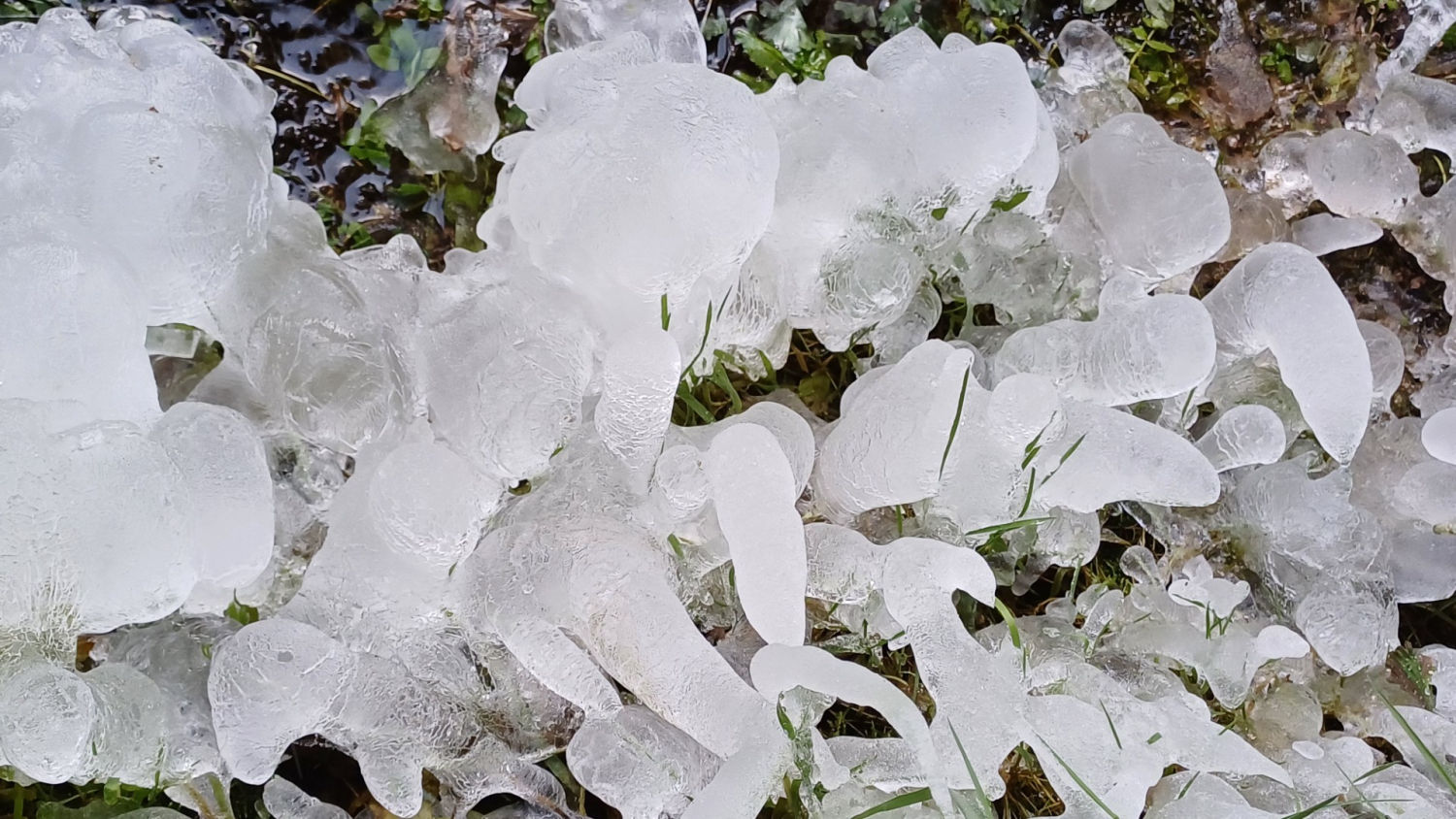 Detalle del hielo en la riera de Clarà.