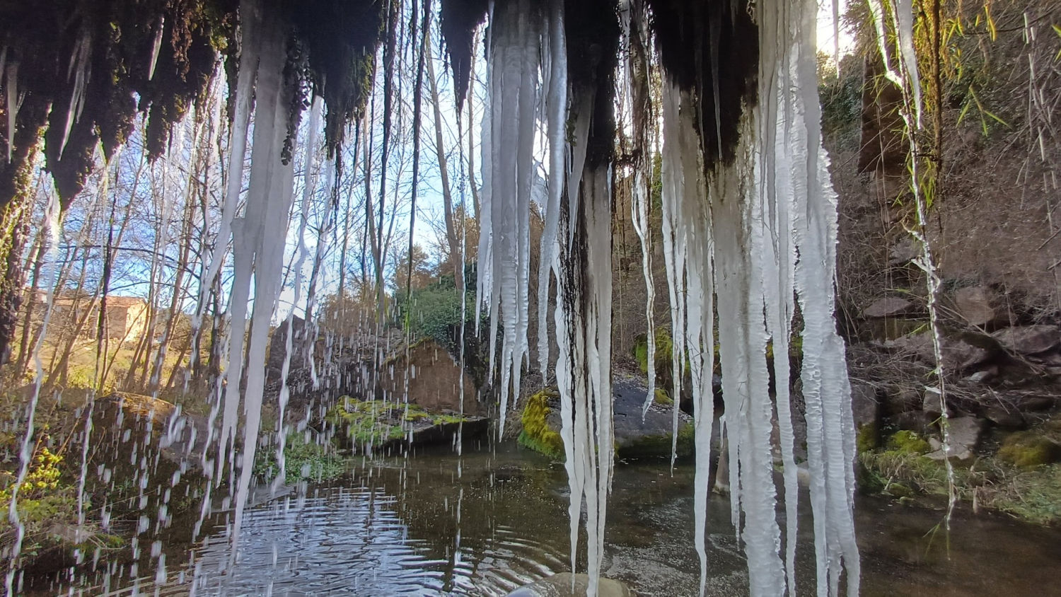 Carámbanos luciendo en la riera de Clarà.