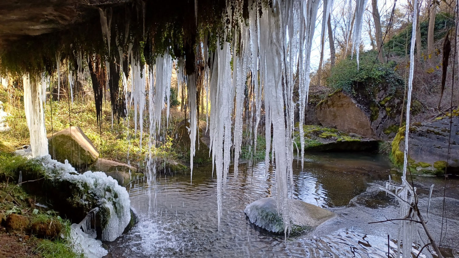 La riera de Clarà luciendo en invierno.