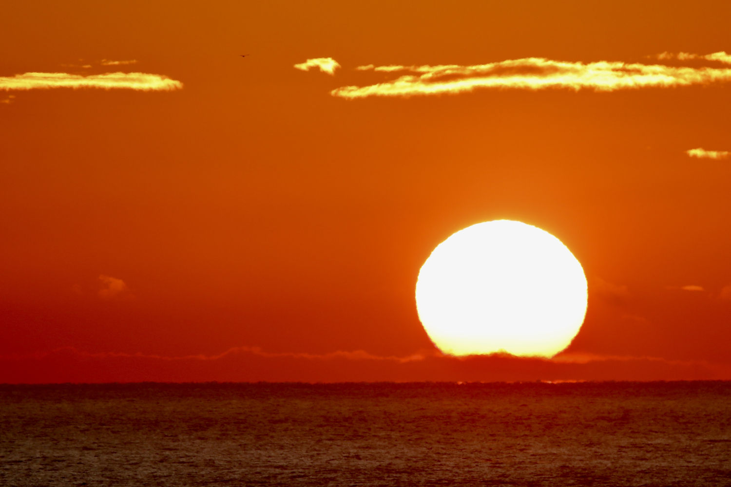 El sol asoma en el horizonte de Llafranc.