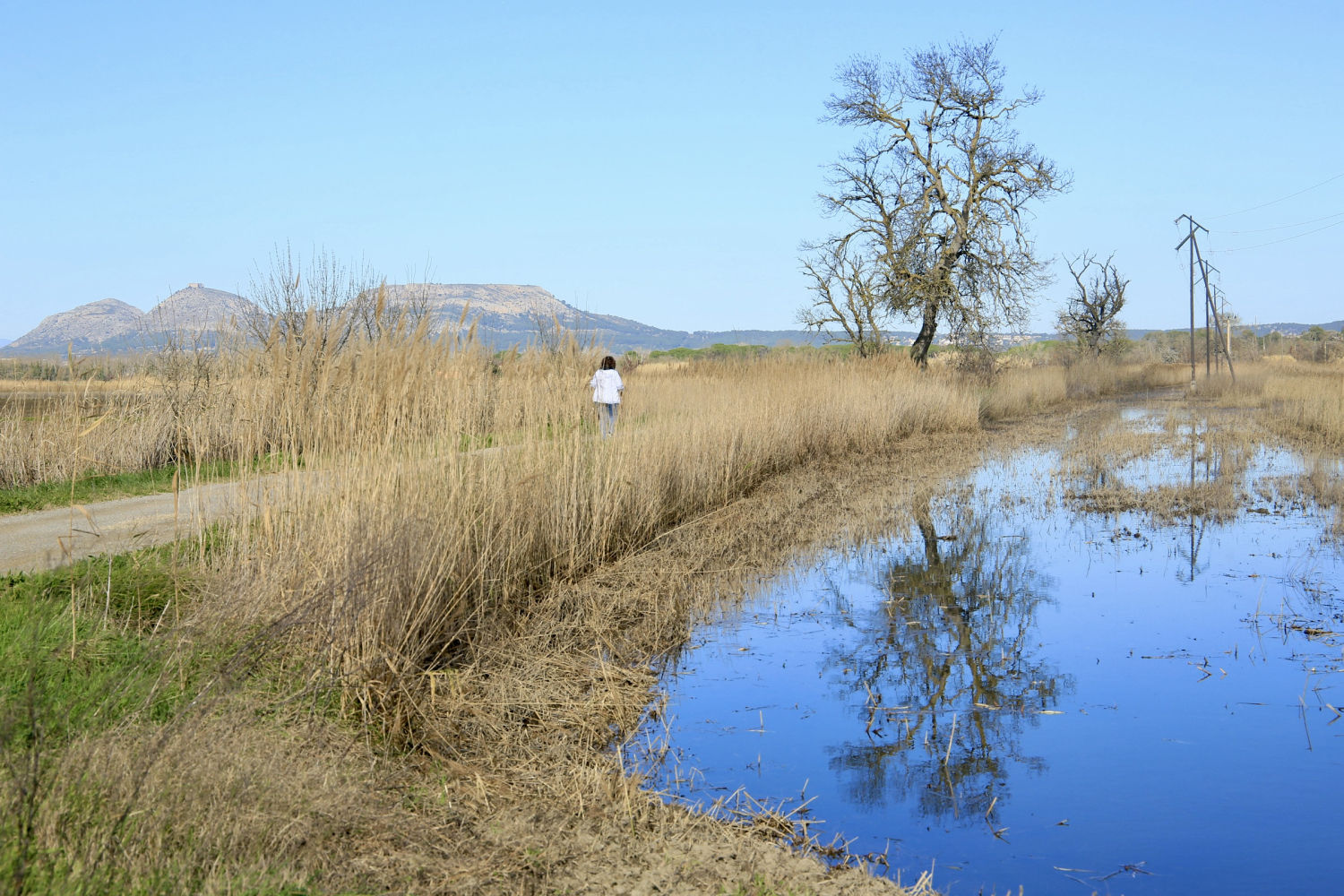 Paseo por Les Basses d'en Coll.