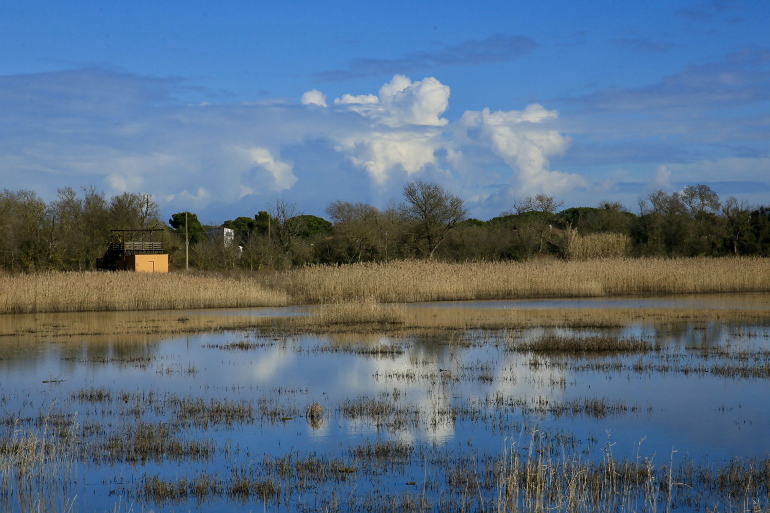Bellas vistas de Les Basses d'en Coll.