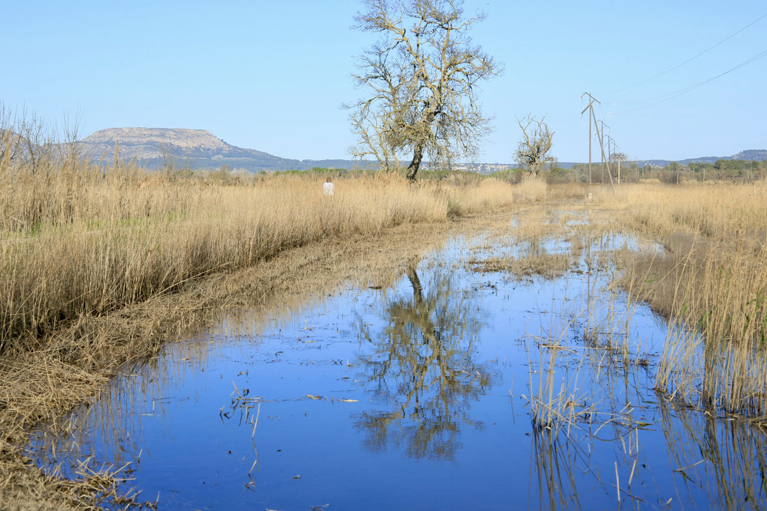 Paisaje de reflejos en Les Basses d'en Coll.